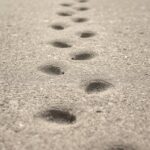 Piçada Meaning Explained: Language, Culture, and Usage